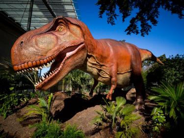 Dino Days at California Academy of Sciences