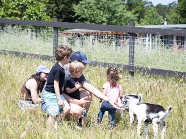 Marin & Bay Area Weekend Family Fun for May 1–3