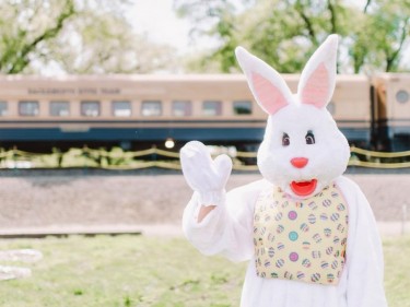 Easter train Sacramento River Fox train