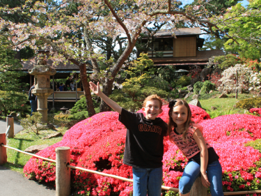 Japanese Tea Garden San Francisco