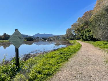 McInnis Park Wetlands Preserve, San Rafael
