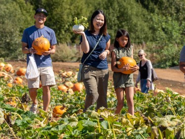 Weekend Along the Farm Trails pumpkins