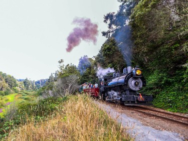 Skunk train Days of Steam steam locomotive