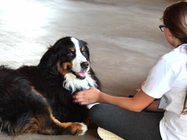 Marin Humane camp girl with dog