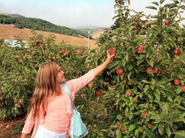 farm tours marin county