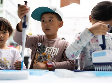 Bay Area Science Festival