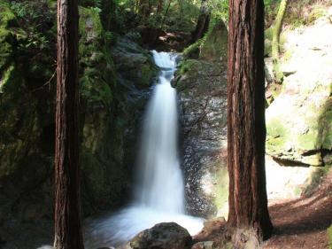 Cascade Falls Mill Valley