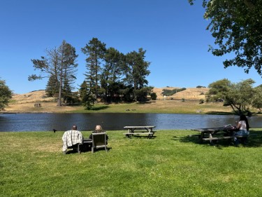 Pond and picnic area at the Cheese Factory