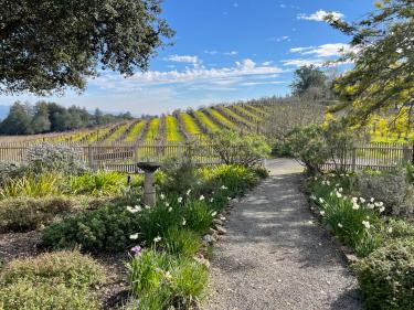 Jack London State Historic Park