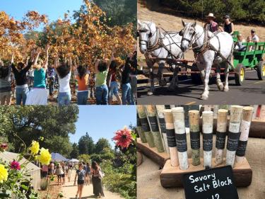 San Domenico Garden Fair