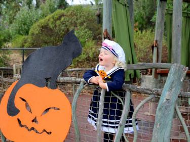Family Halloween Events in Marin & the Bay Area