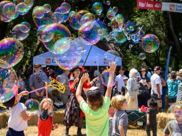 Gravenstein Apple Fair kids playing with bubbles