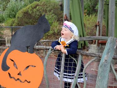 Family Halloween Events in Marin & the Bay Area 2022