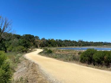 Hamilton Wetlands Bay Trail Novato