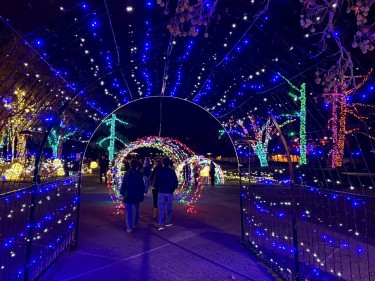 Holiday Light Spectacular at Marin Center in San Rafael light tunnel