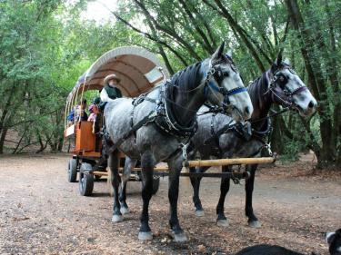 Indian Valley Carriage covered wagon Gary Sello