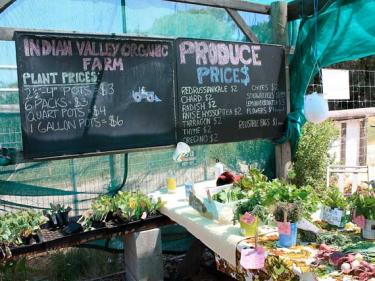 Indian Valley Organic Farm and Garden College of Marin