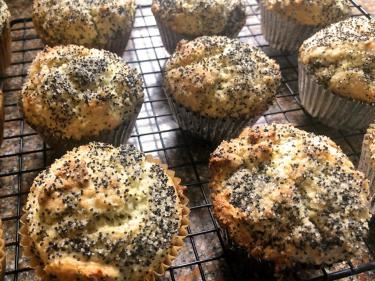 Lemon Poppyseed muffins