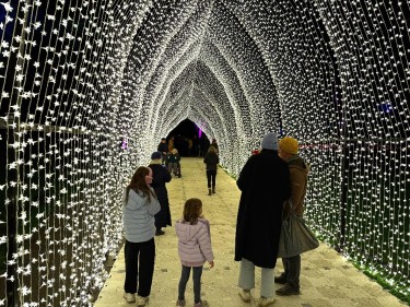 Light tunnel with family at Lightscape San Francisco Botanical Garden