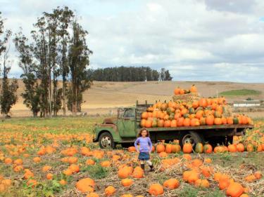 farm tours marin county