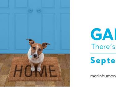Marin Humane Gala 2020