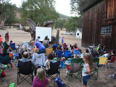 Bat Night Olompali Novato