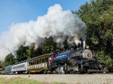 Steam locomotive pulling passenger cars at Niles Canyon Railway