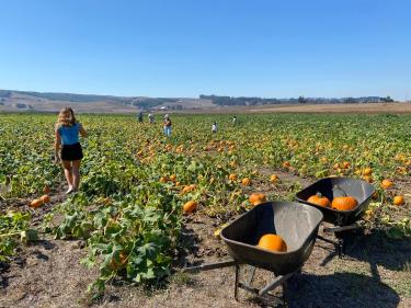 Peter Pumpkin Patch