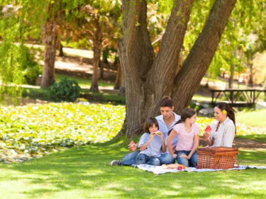 Awesome Spots For a Mother's Day Picnic in Marin County