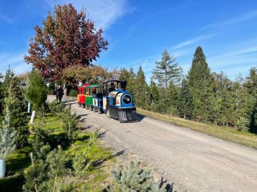 Reindeer Ridge tree farm train
