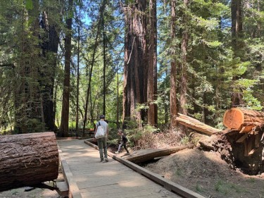 Family walking on trail at Roy's Redwoods Preserve San Geronimo Valley