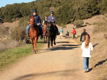 Rush Creek Preserve Novato