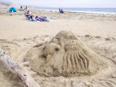Sand sculpture contest point reyes drakes beach