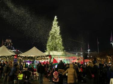 Civic Center Plaza Tree Lighting San Francisco