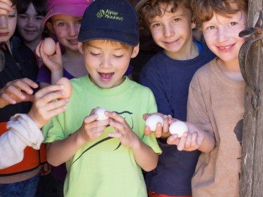 Kids holding eggs at slide ranch