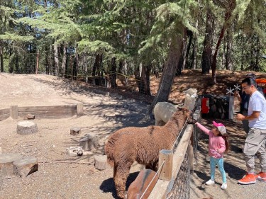 15 Fun Things to Do This Spring with Kids 5 and Under, Bay Area