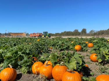 farm tours marin county