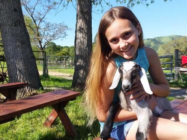 Baby animal at Windrush Farm