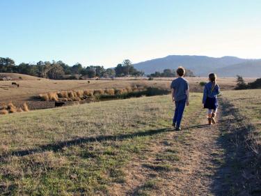Tomales Bay Trail winter hike with kids in West Marin