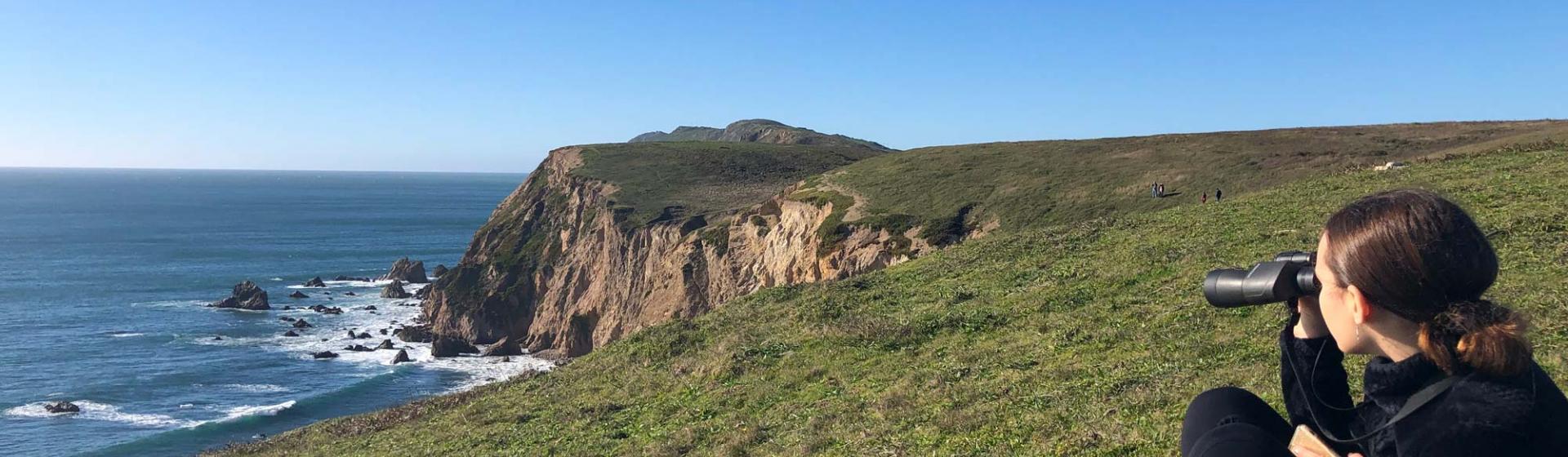 Point Reyes Whale Watching