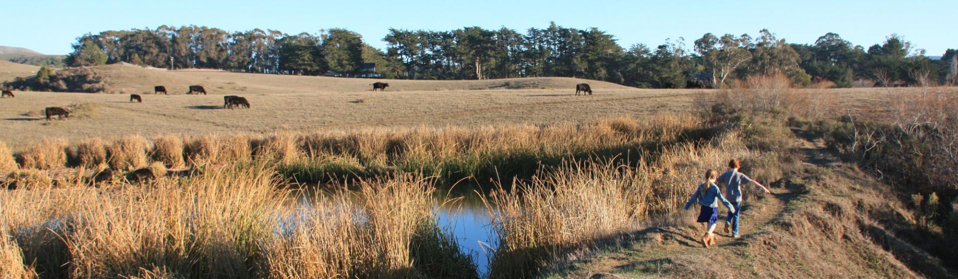 Winter hike at Tomales Bay Trailhead in West Marin
