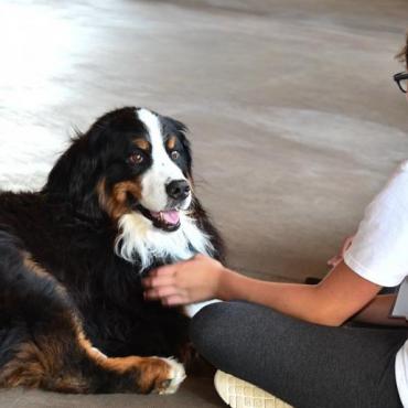 Marin Humane Summer Camps Marin Mommies