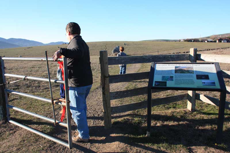 Hiking With Kids in Marin Tomales Bay Trailhead in Point Reyes Marin